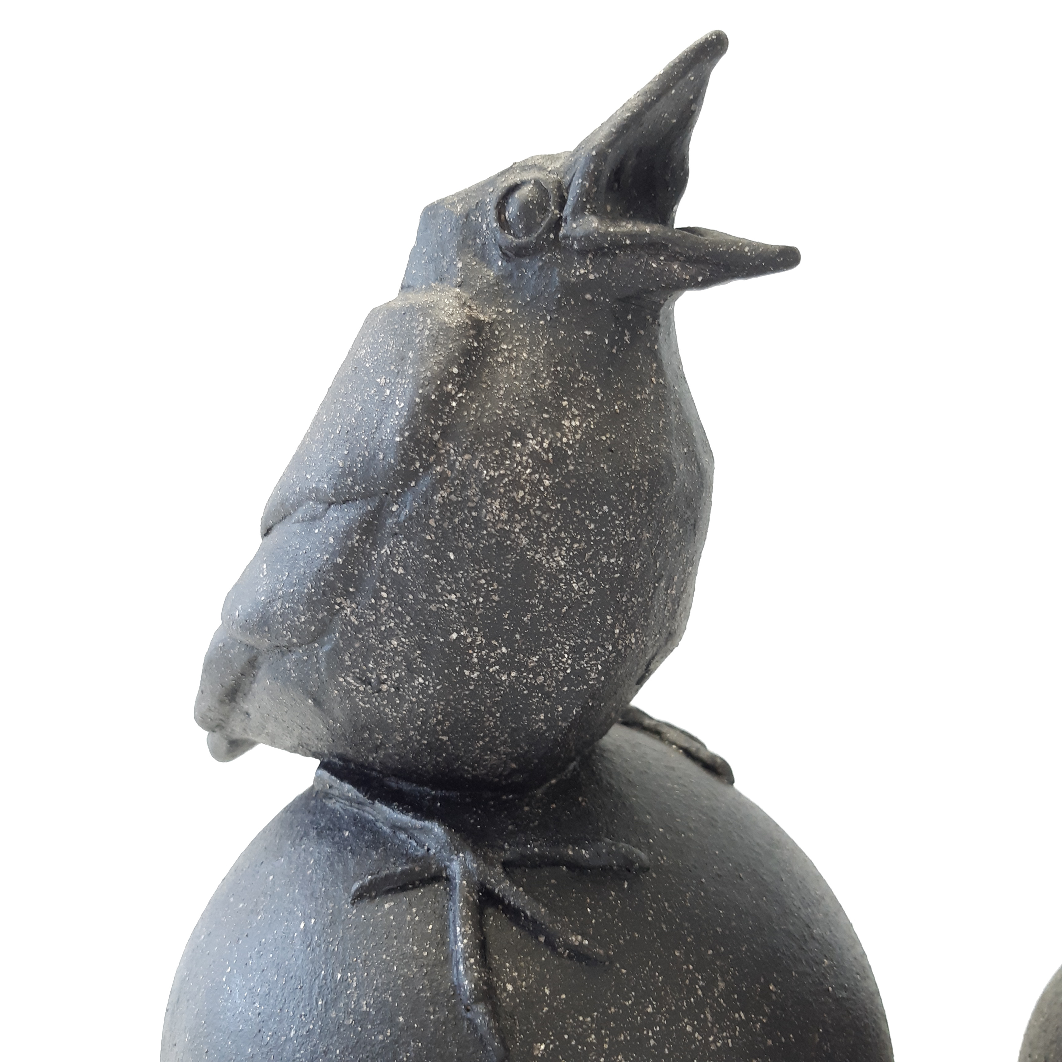 Jonge vogel A