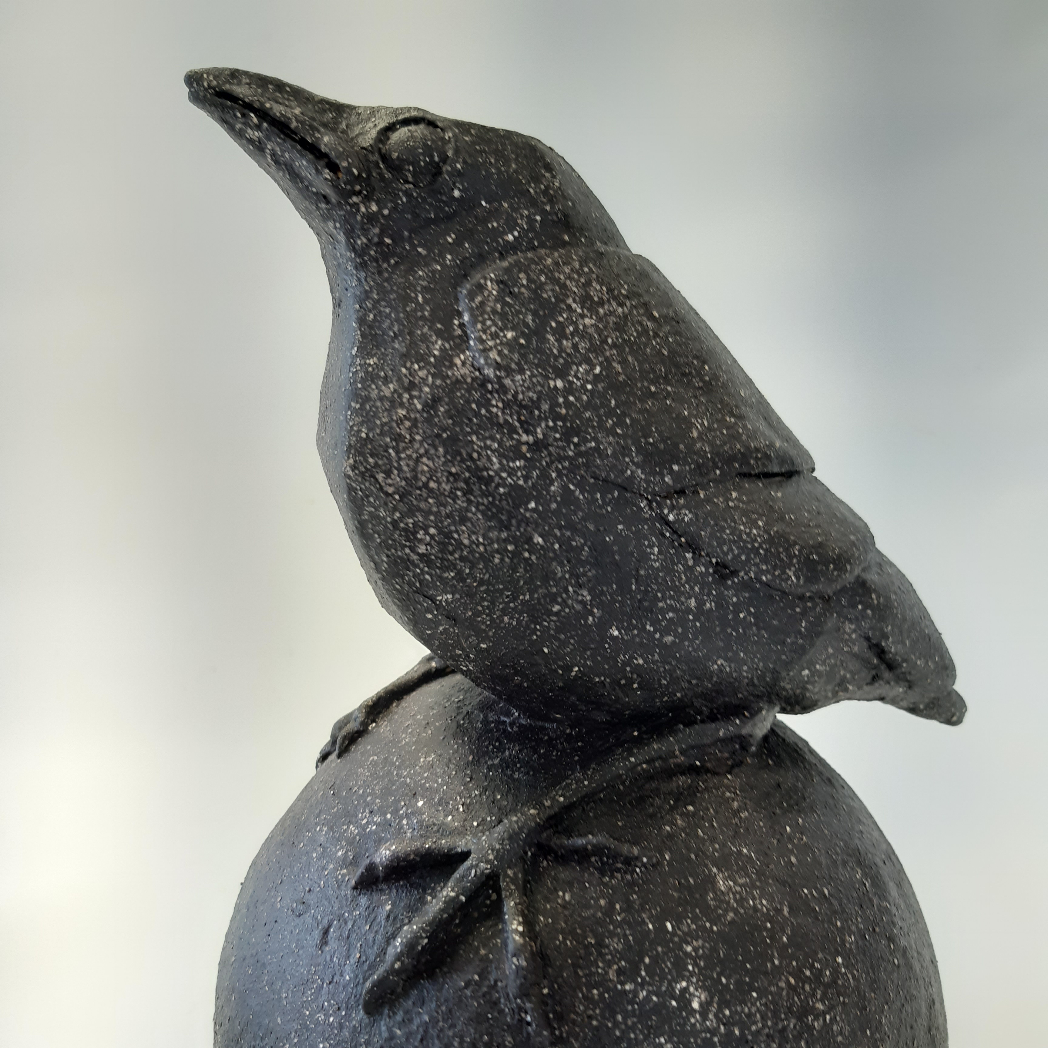 Jonge vogel B