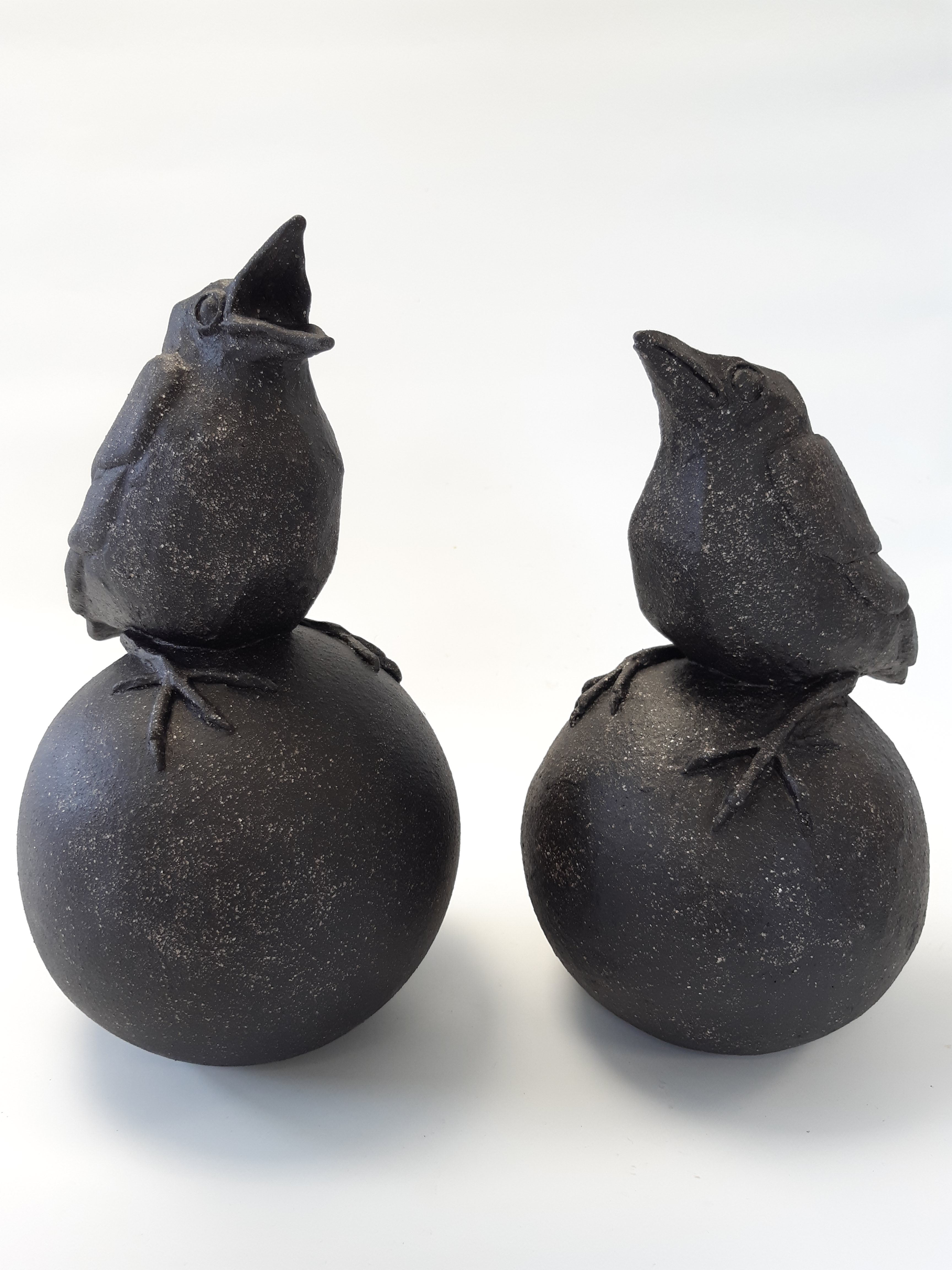 Jonge vogels