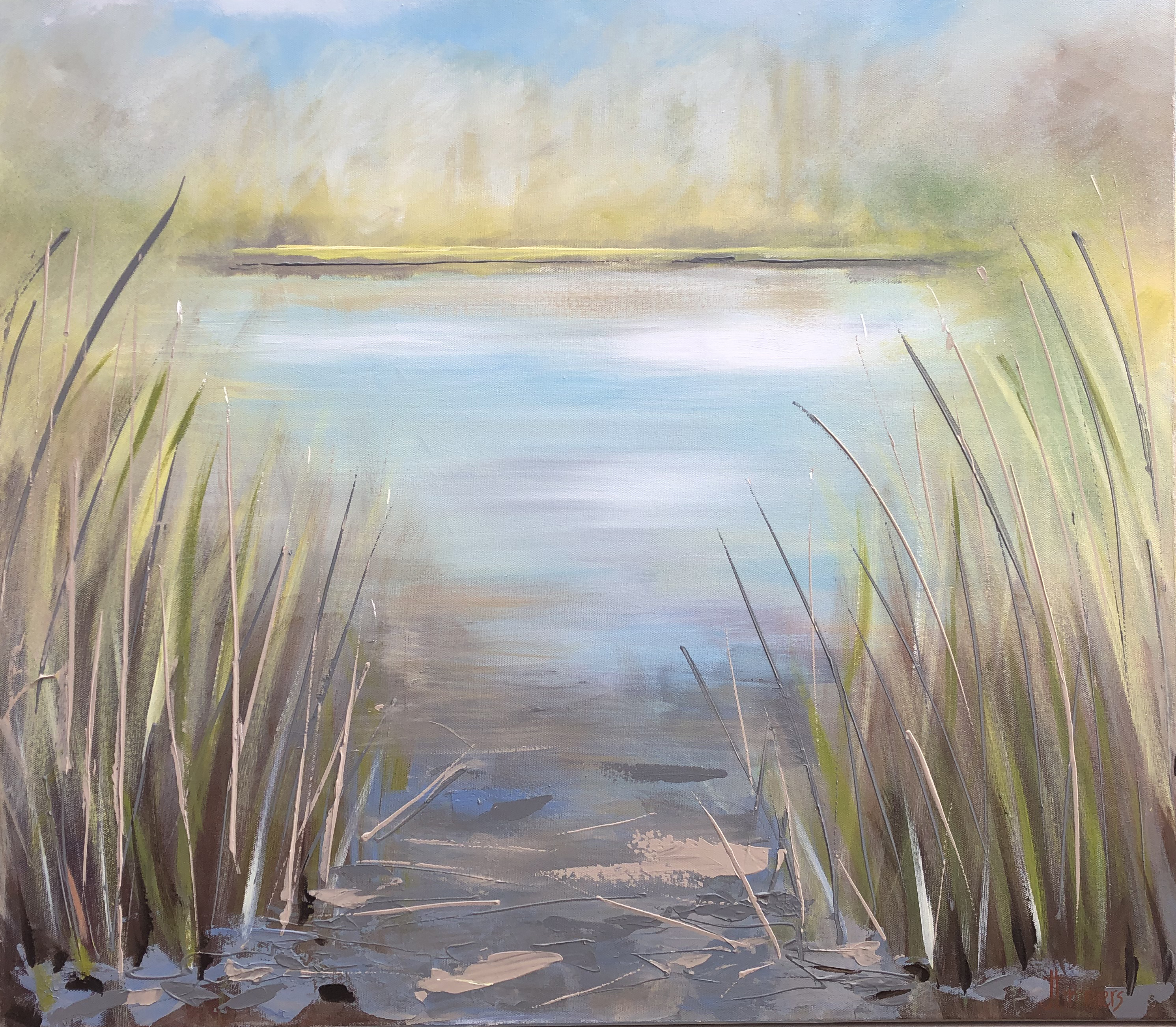 Kreelse plas 1